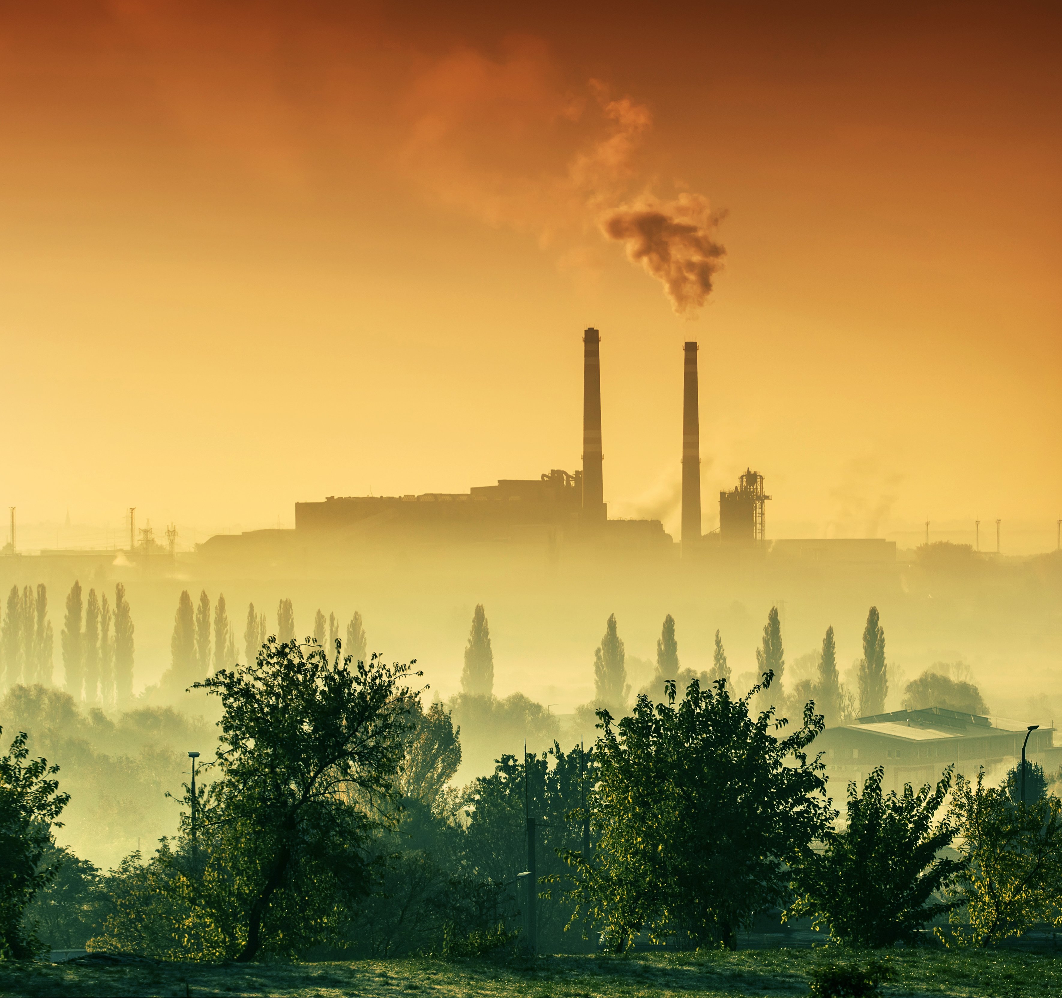 heavy emissions