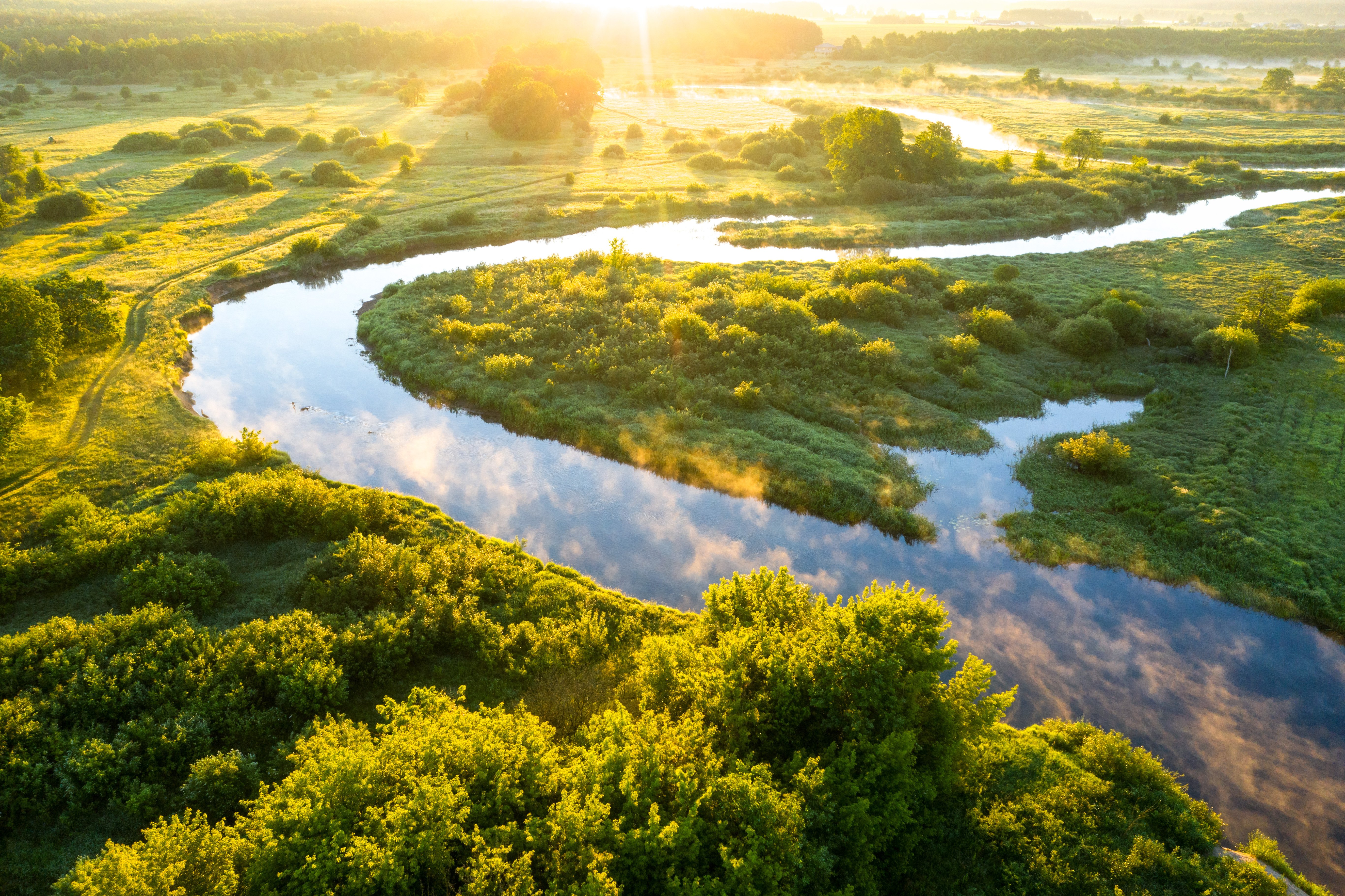 Aerial view of a winding river meandering through lush green wetlands at sunrise