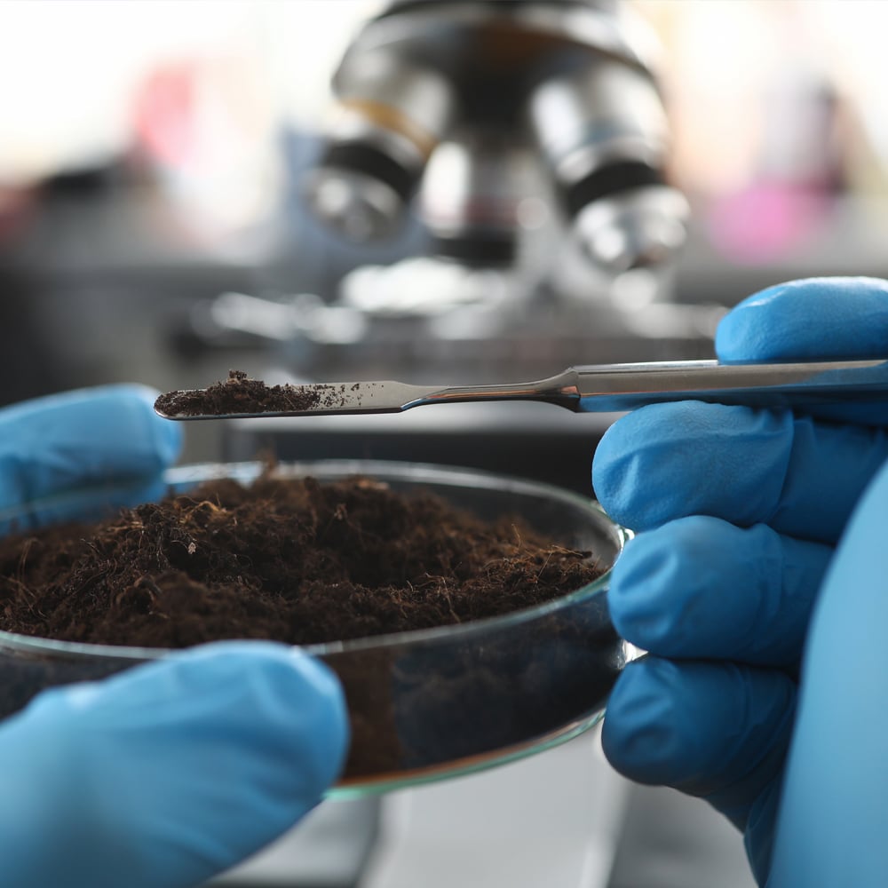 ALS Hong Kong Environmental Testing soil testing