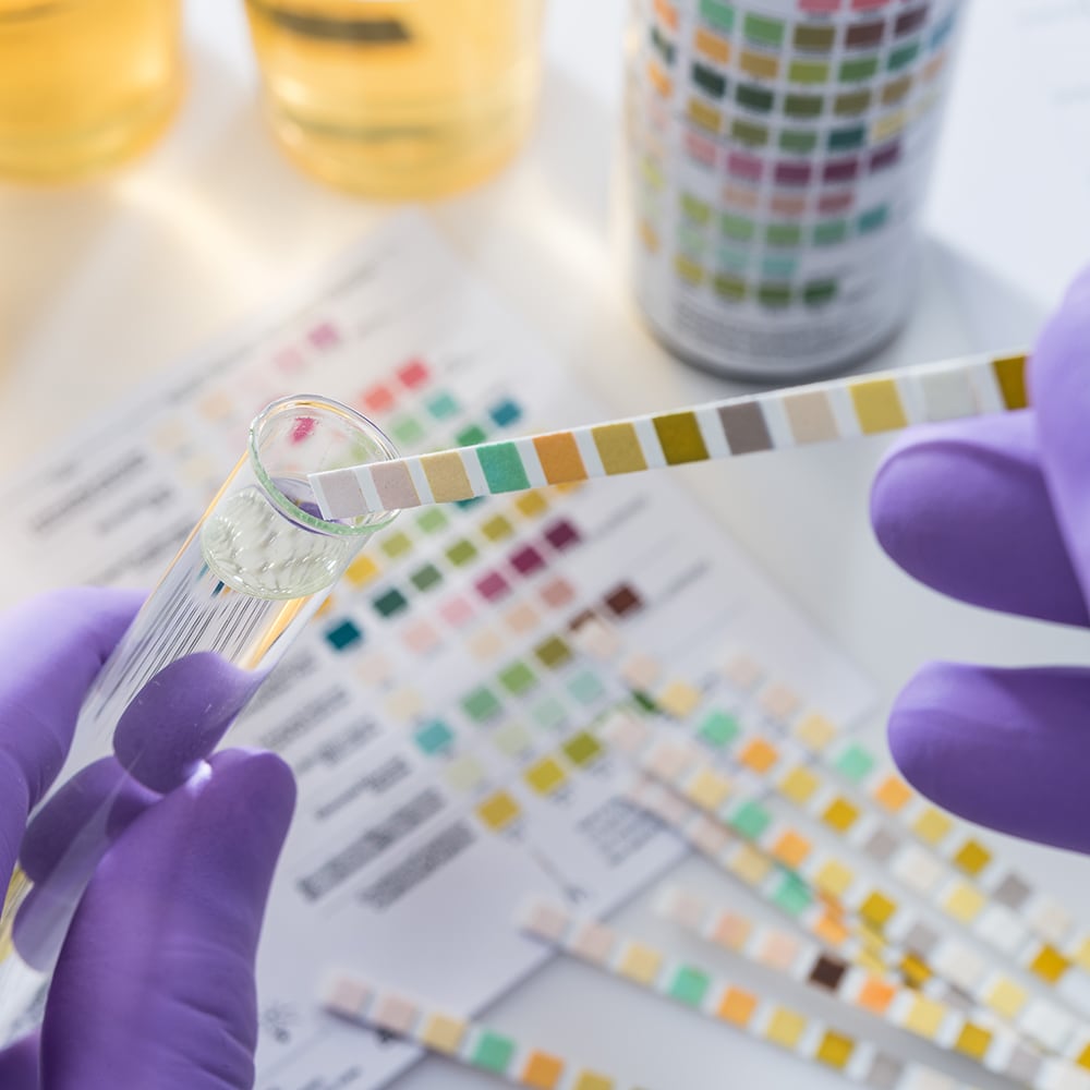 Toxicology