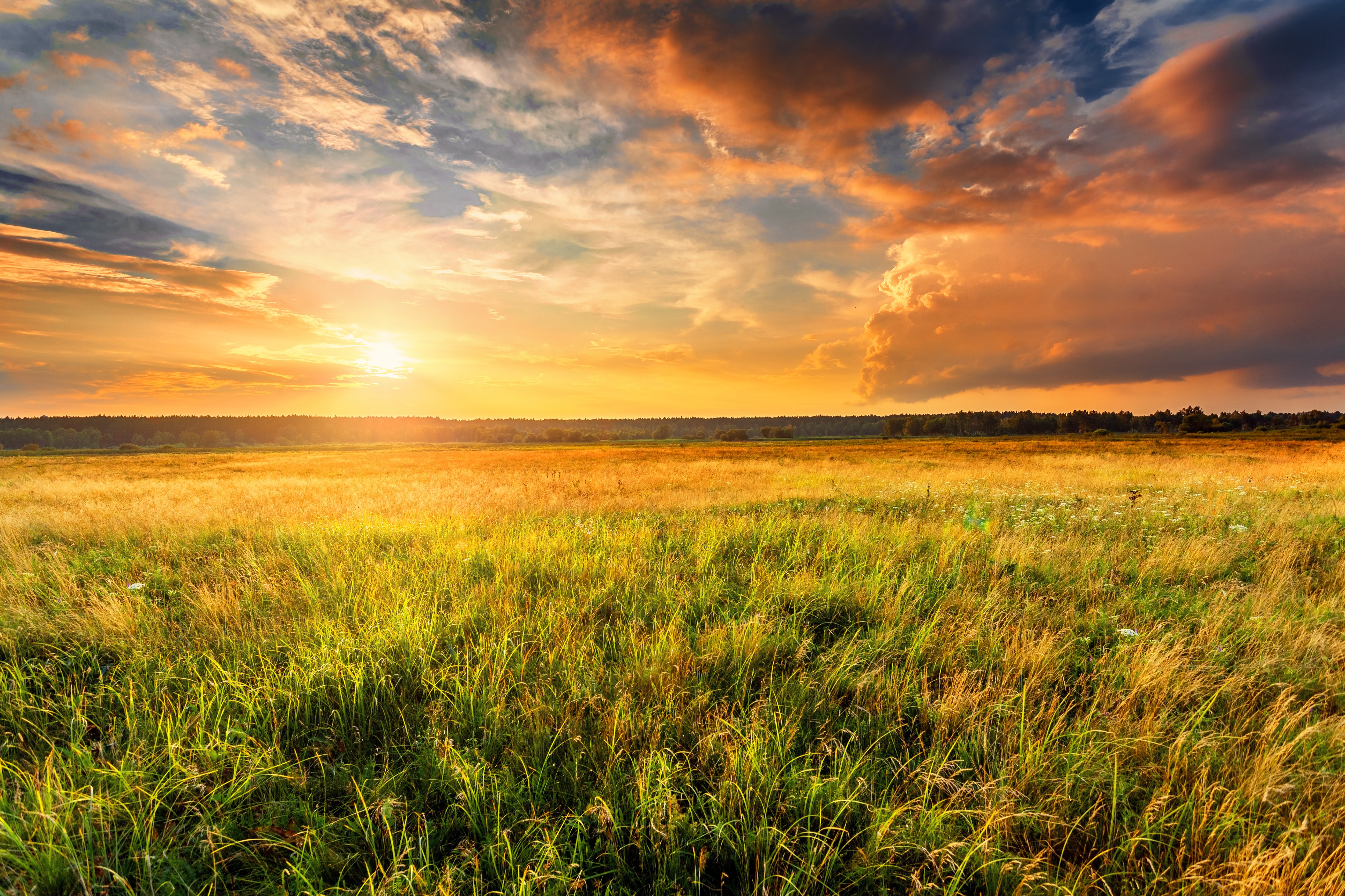 nature landscape with vibrant sunset