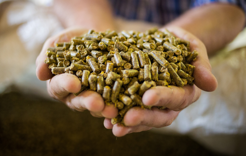 CLR- T0 Italy-animal feed