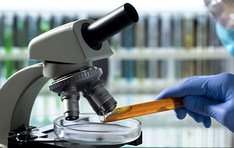 CLR- T0 Italy-Honey testing