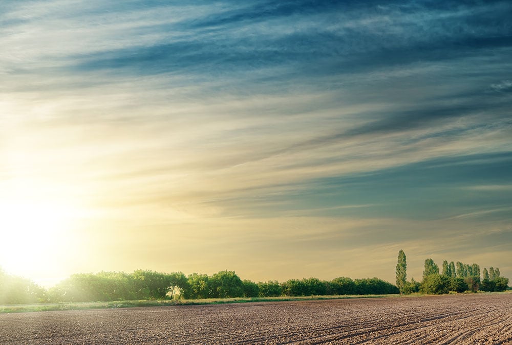 A plowed field stretches out before a line of trees under a bright, cloud-filled sky.
