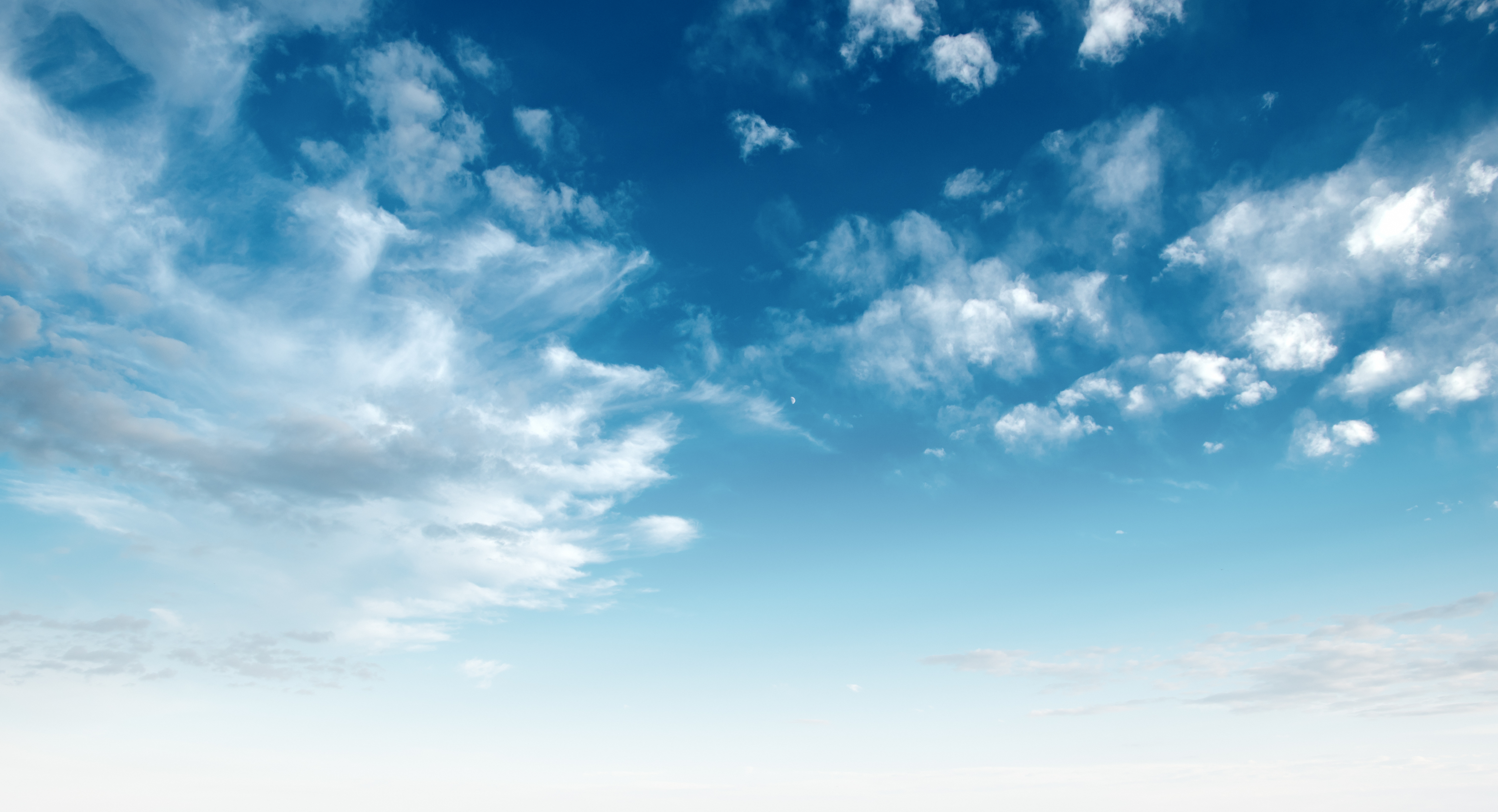 AdobeStock_238170341