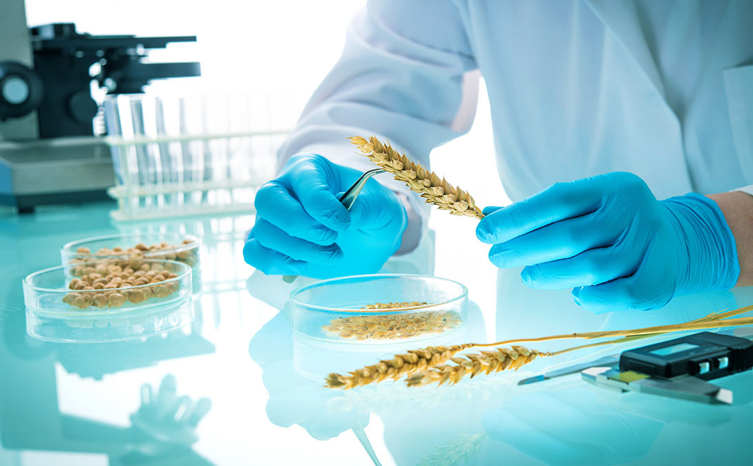 Análise de Agroquímicos - Pesticide Analysis