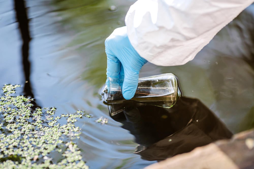 Blue-gloved hand in protective suit collecting a water sample with a glass jar from a pond surface covered with floating vegetation