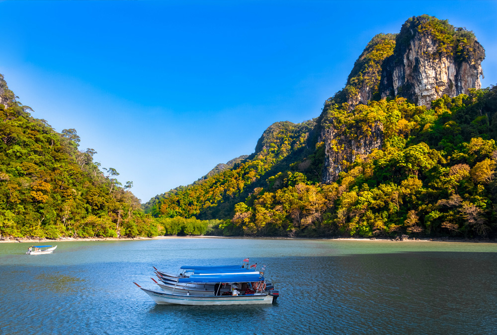 Four boats rest in a calm cove with forested cliffs in the background.