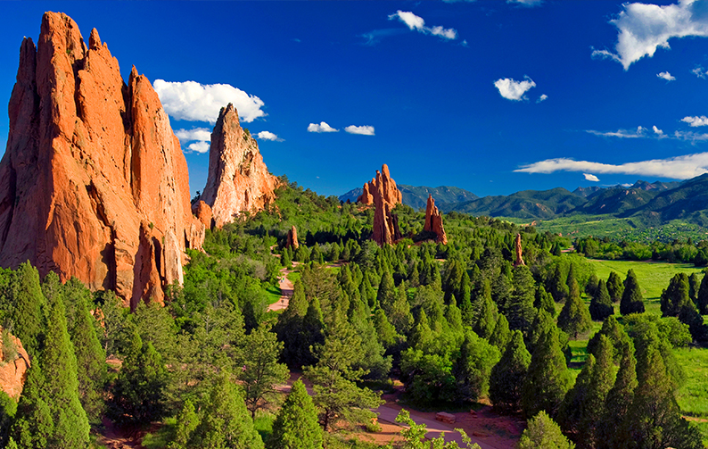 Red rock formations rise dramatically from a valley filled with evergreen trees under a blue sky.