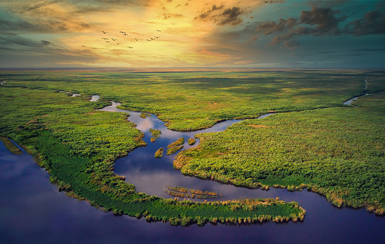 A winding river flows through a lush green landscape.