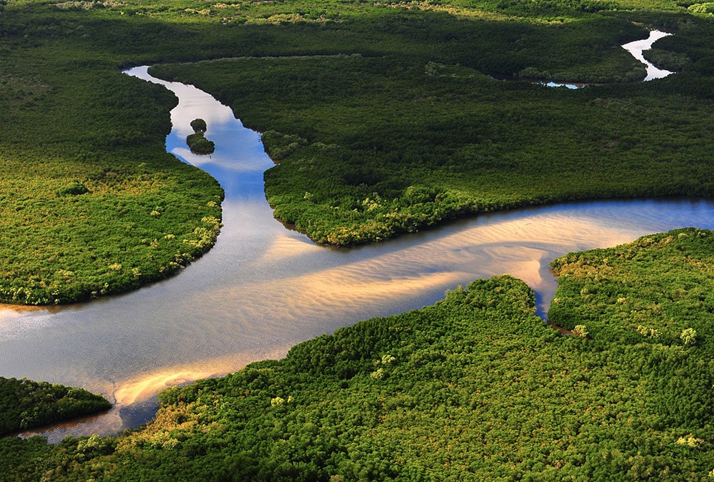 The image shows an aerial view of a river meandering through a dense, green forest.