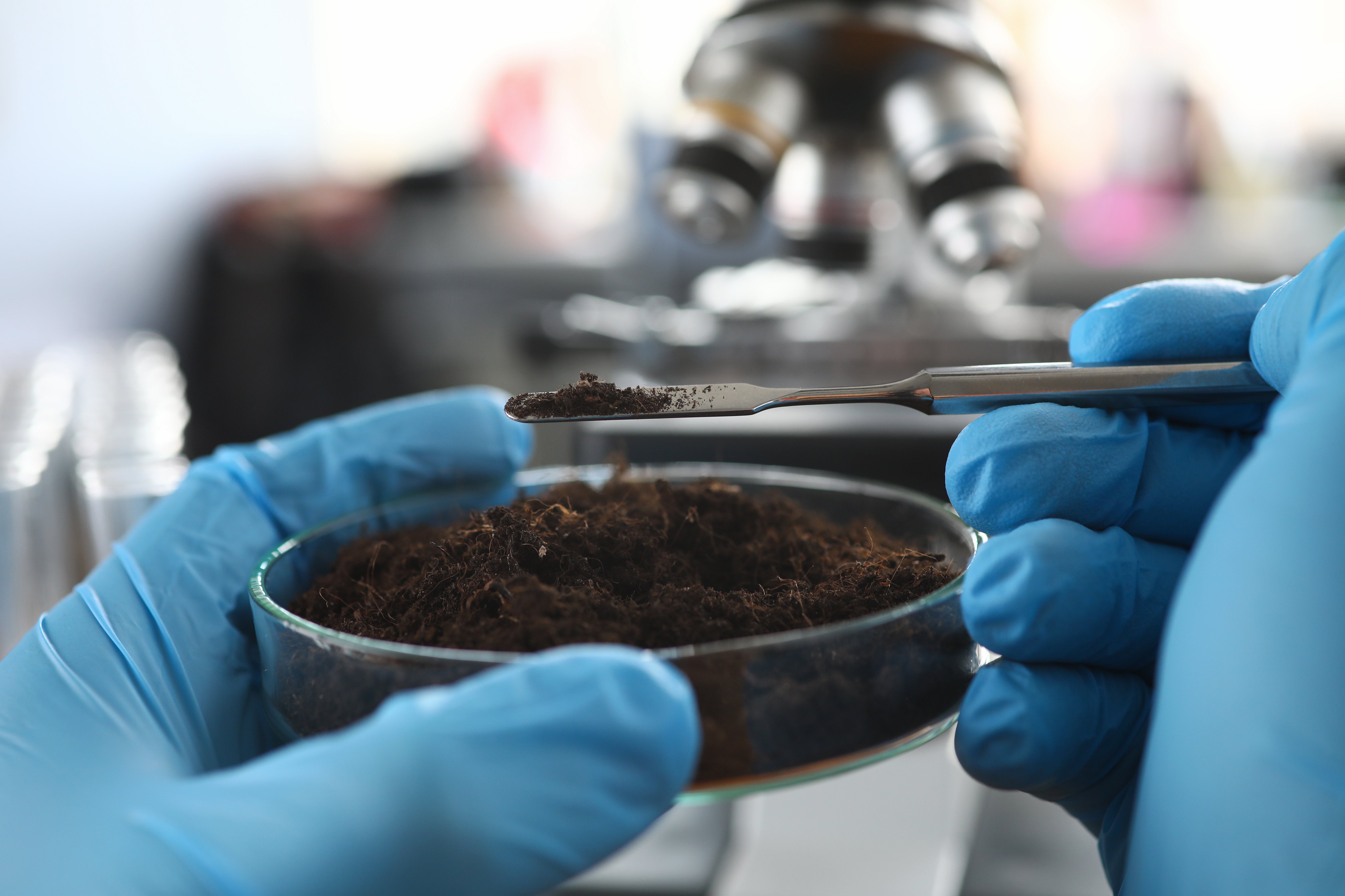 ALS_soil-sample