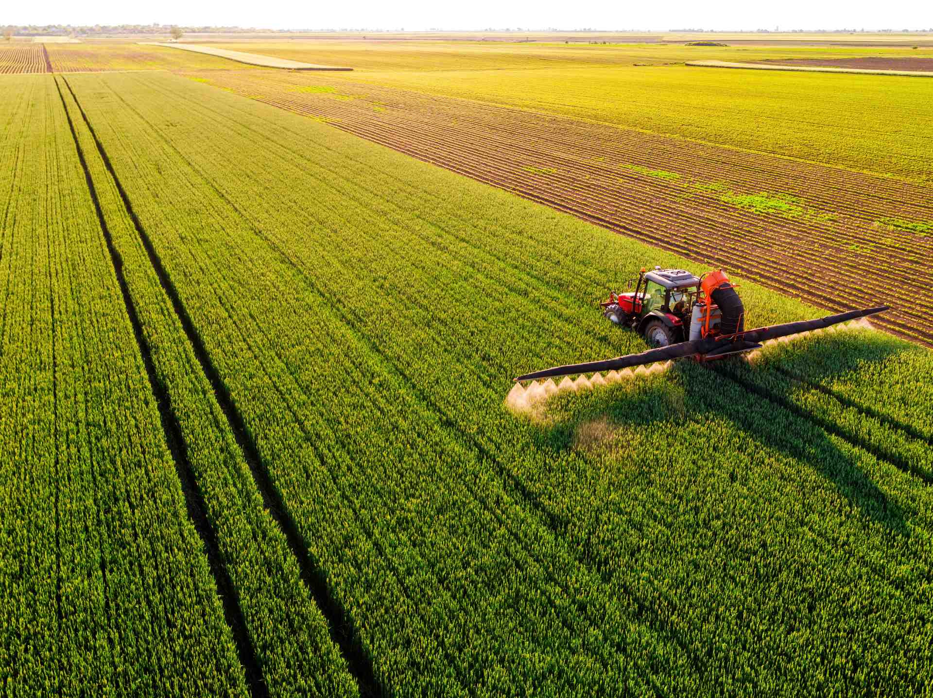 Implementing woodchip bioreactors at the edges of agricultural fields