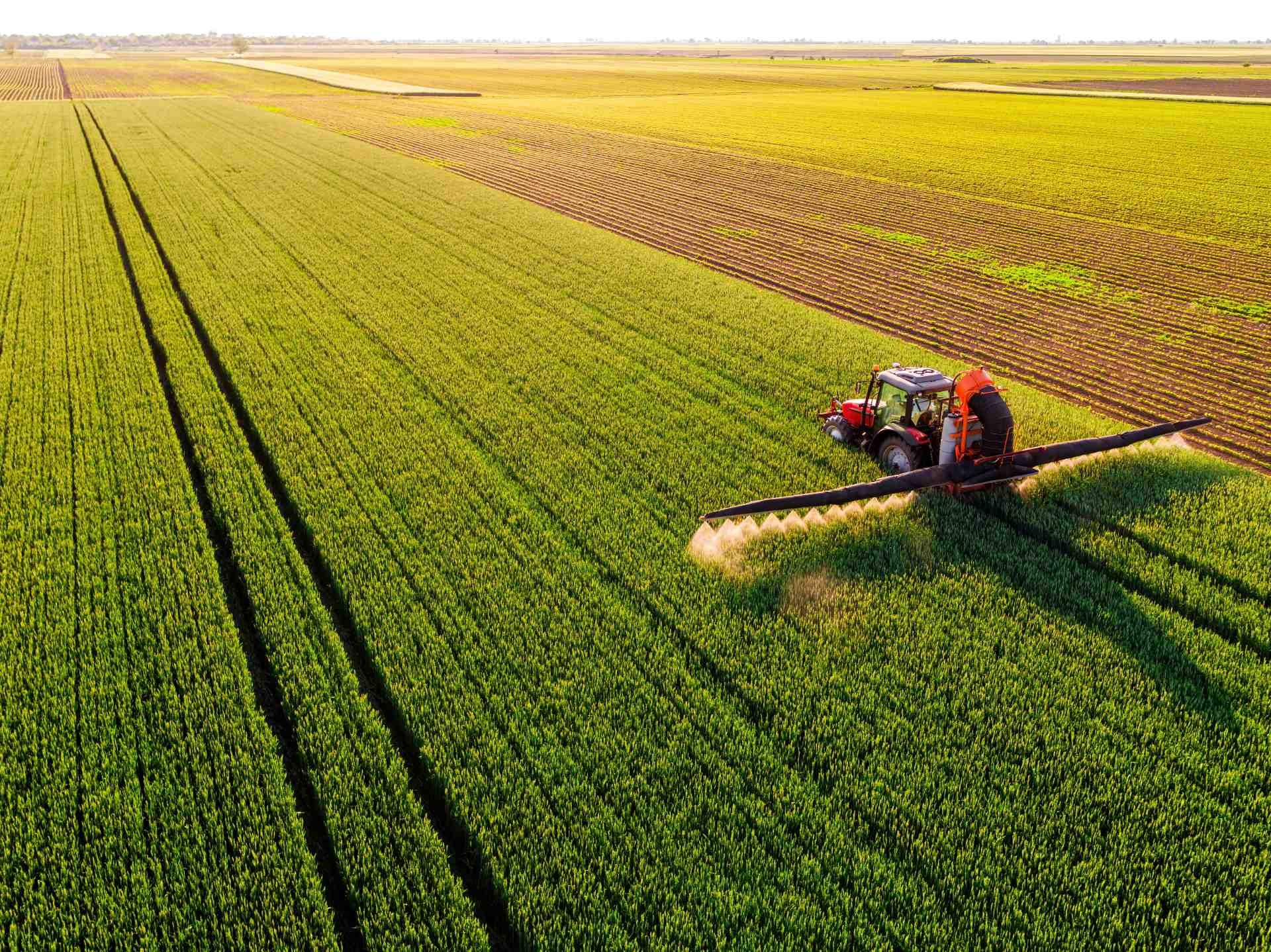 Implementing woodchip bioreactors at the edges of agricultural fields