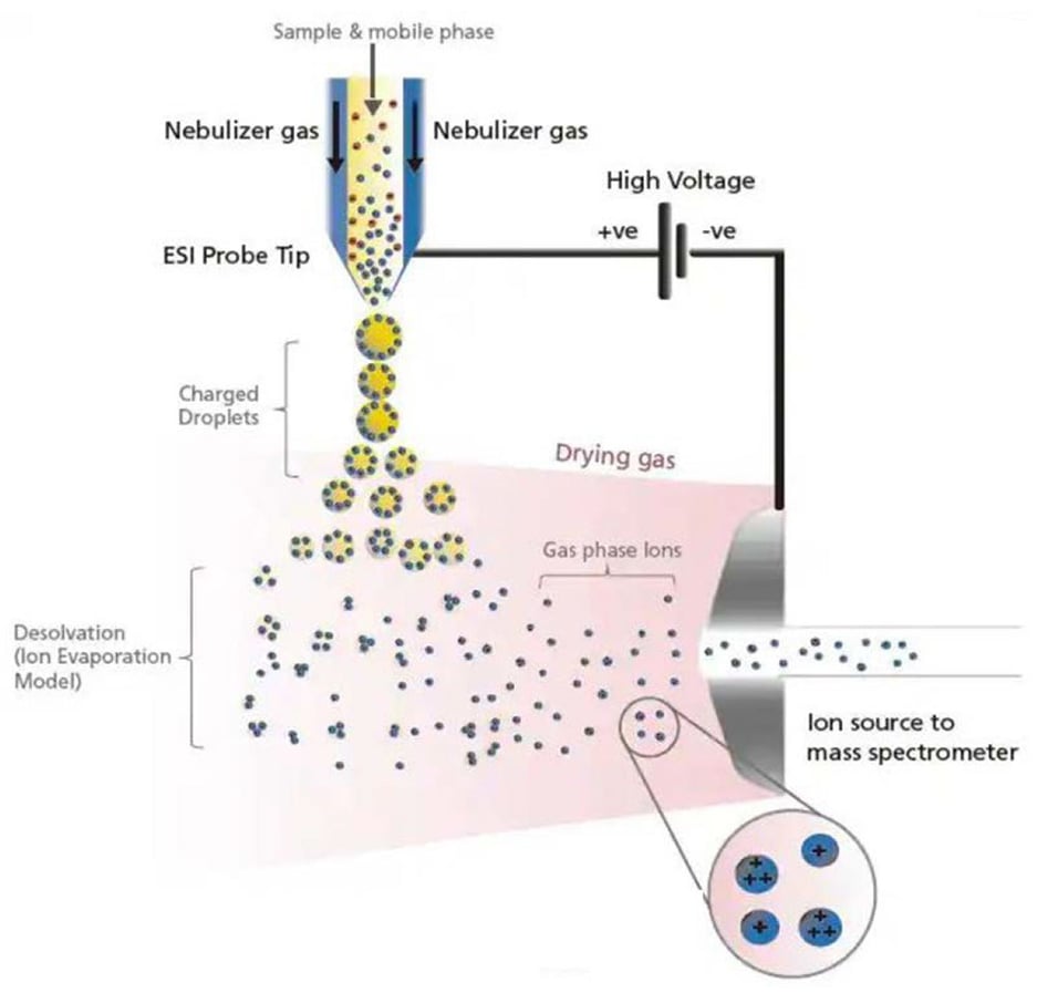 Electrospray ionisation process
