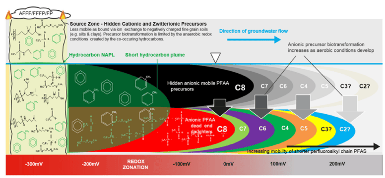 Conceptual site model for PFAS from a fire training area source zone