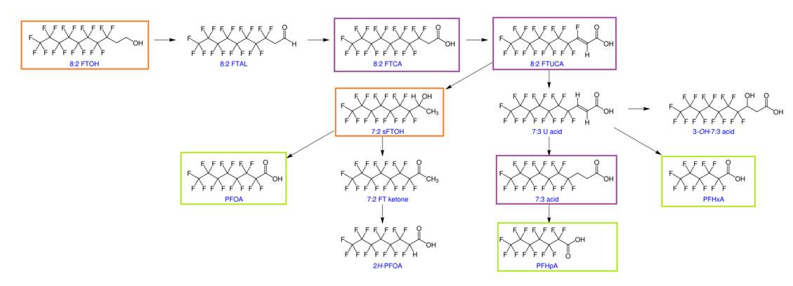 Aerobic biotransformation of 8:2 FTOH in soil