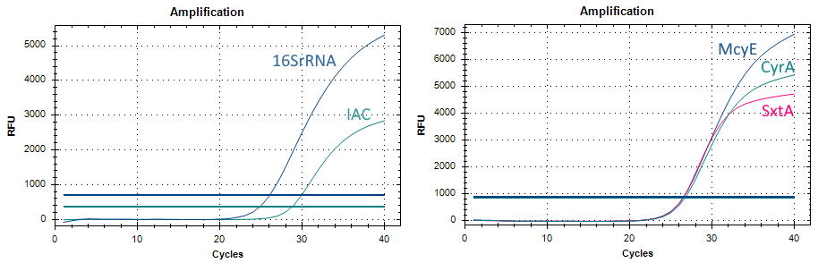 Amplification plots for CyanoDTec Assay targets: 16S rRNA and IAC (above), and McyE, CyrA and SxtA (below).