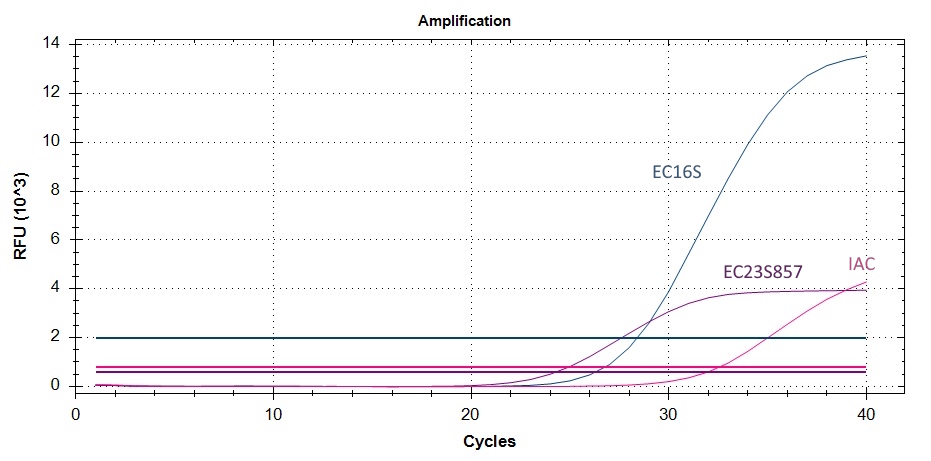 PCR data labelled