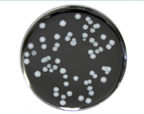 EM0661 Fig 1