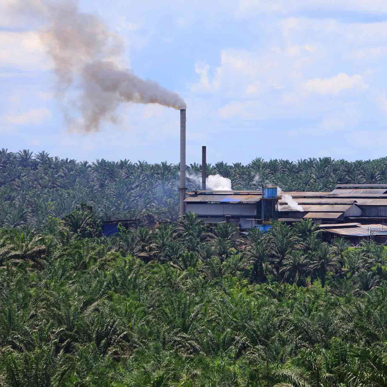 Rubber factory in Malaysia