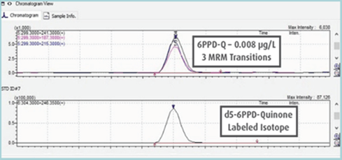 LC-MS/MS MRM Chromatogram