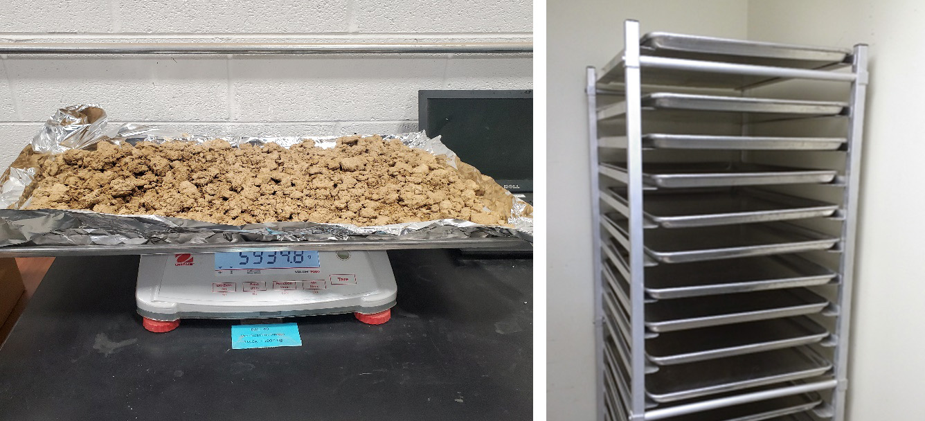 Picture 1: Drying sample and drying rack