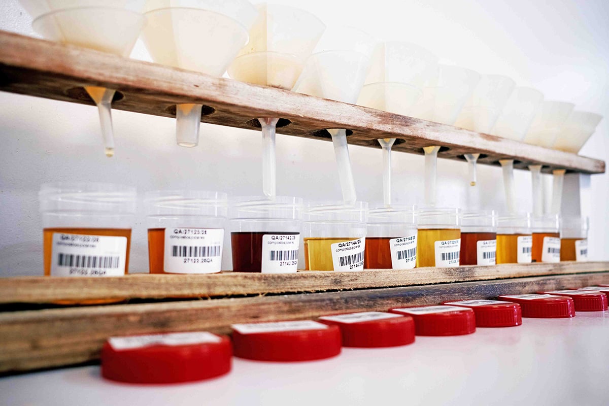 Filtragem de amostras de óleo alimentar em laboratório Funis de plástico filtrando amostras de óleo alimentar para recipientes etiquetados em ambiente laboratorial.