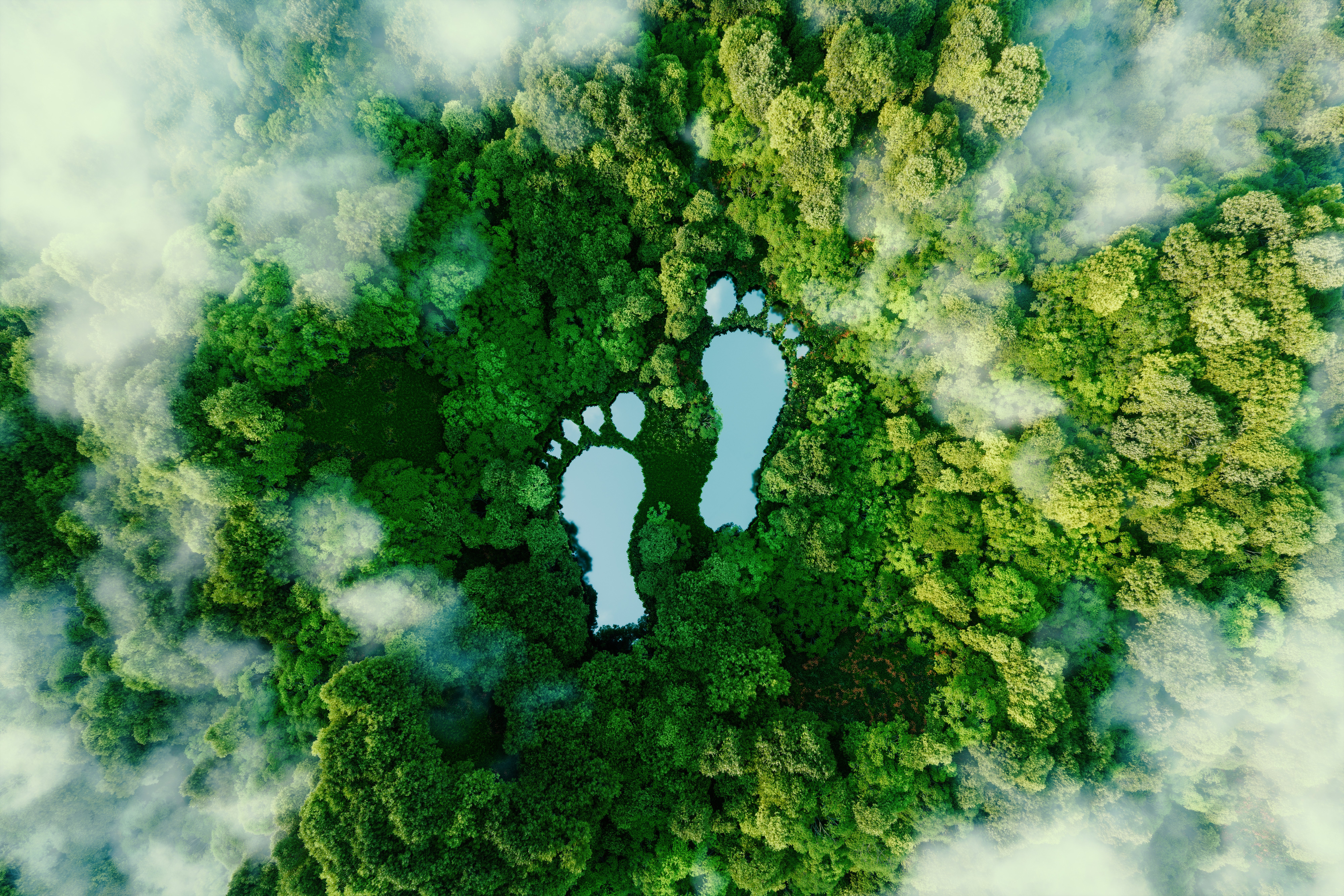 An aerial view of a dense green forest with two large footprint-shaped graphics placed at the center, surrounded by clouds and mist.
