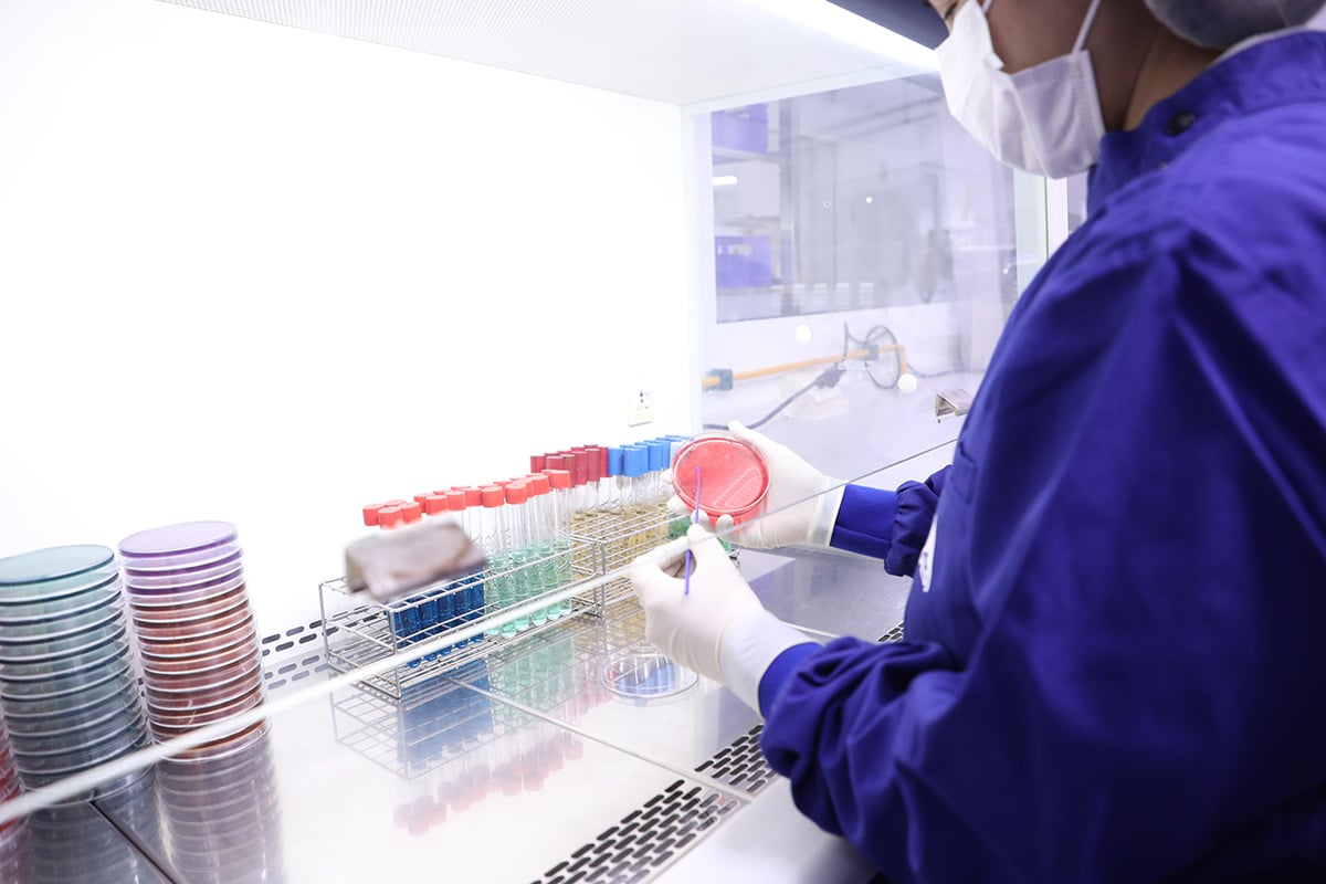 A person wearing protective laboratory clothing handles a petri dish with a colored culture inside a controlled work cabinet, with multiple racks of test tubes and stacks of petri dishes arranged on the workstation.