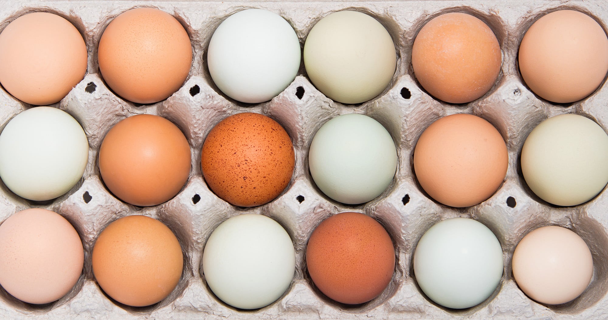 eggs, allergen, test, ELISA