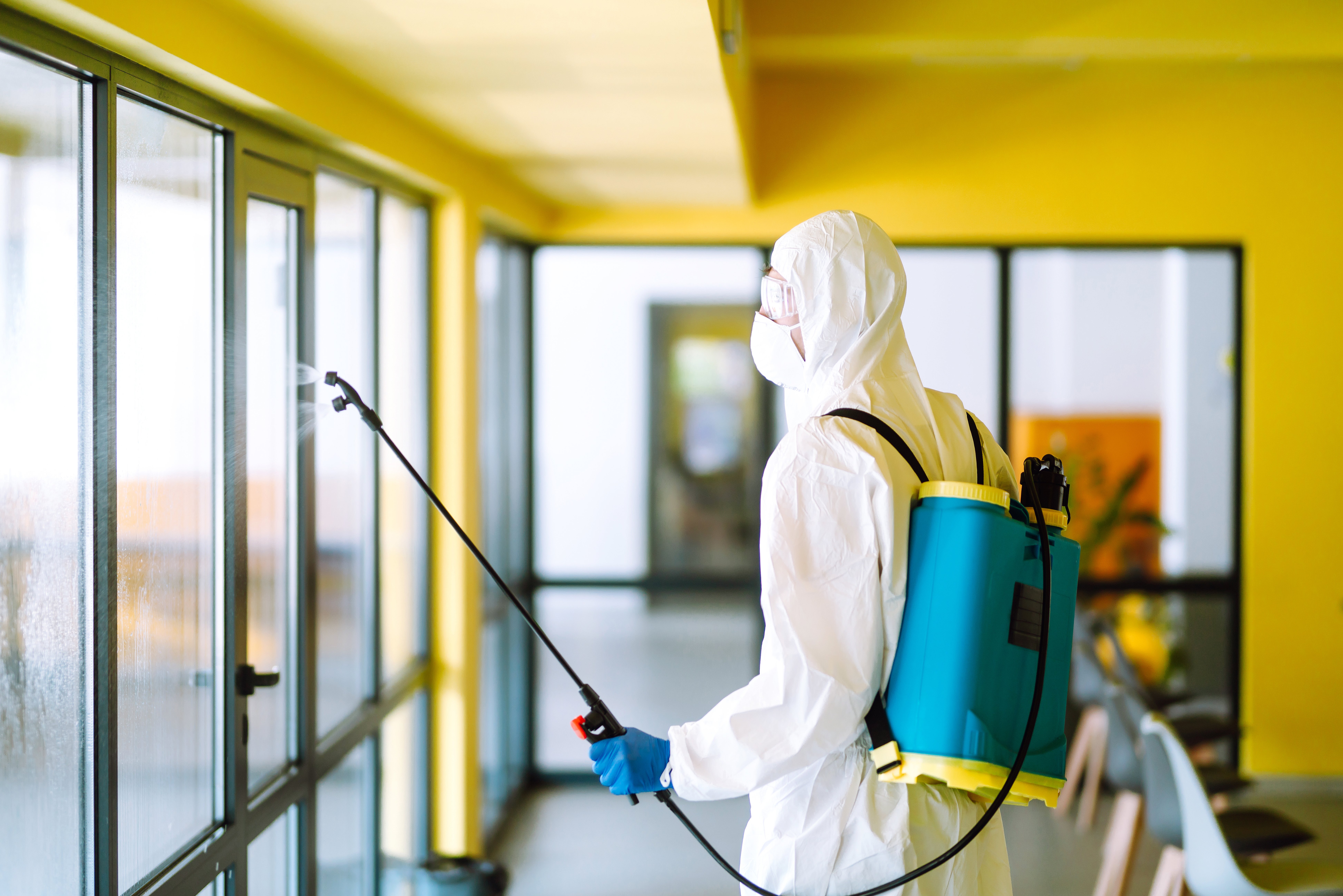 contractor administering pest control to office