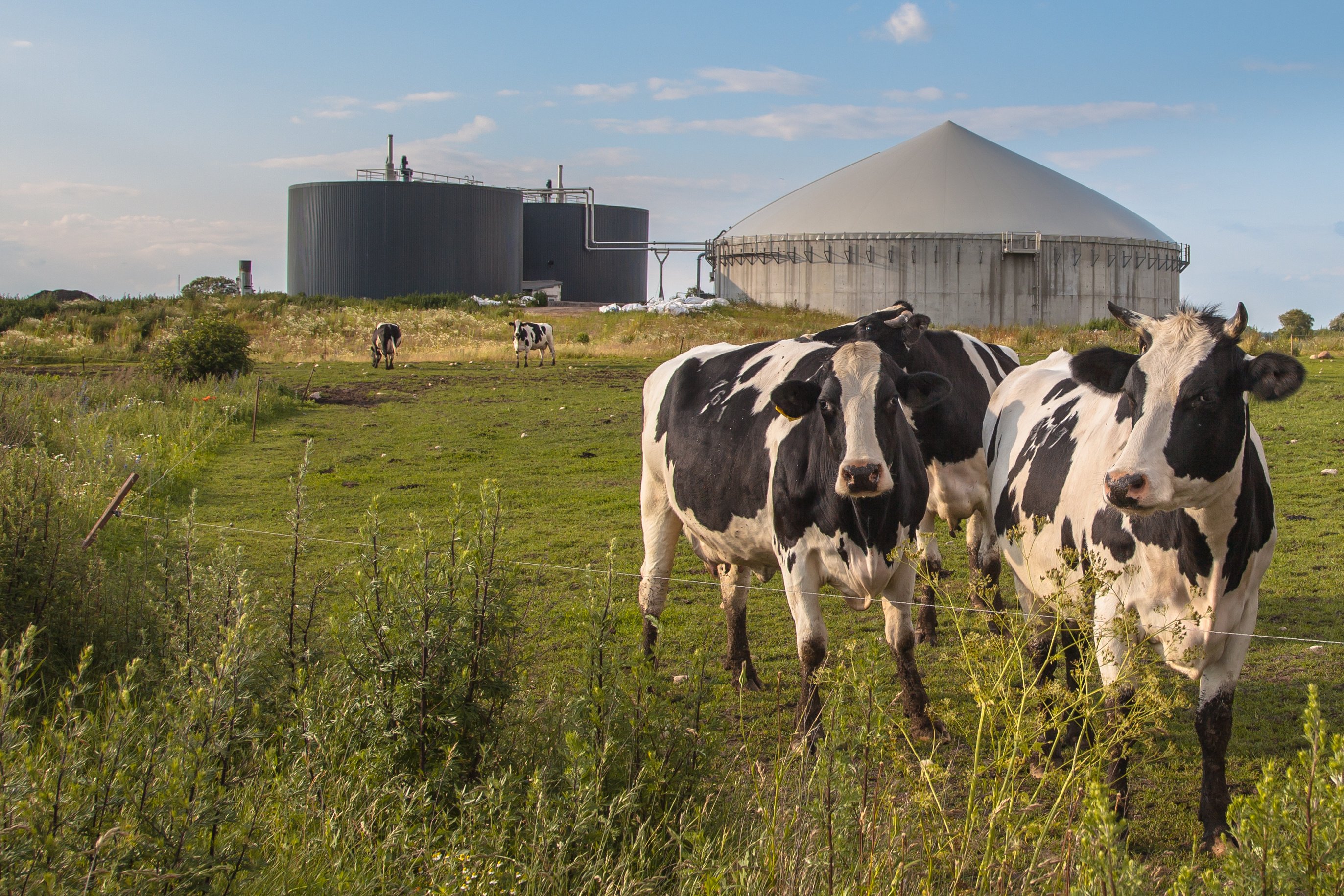 biogaz