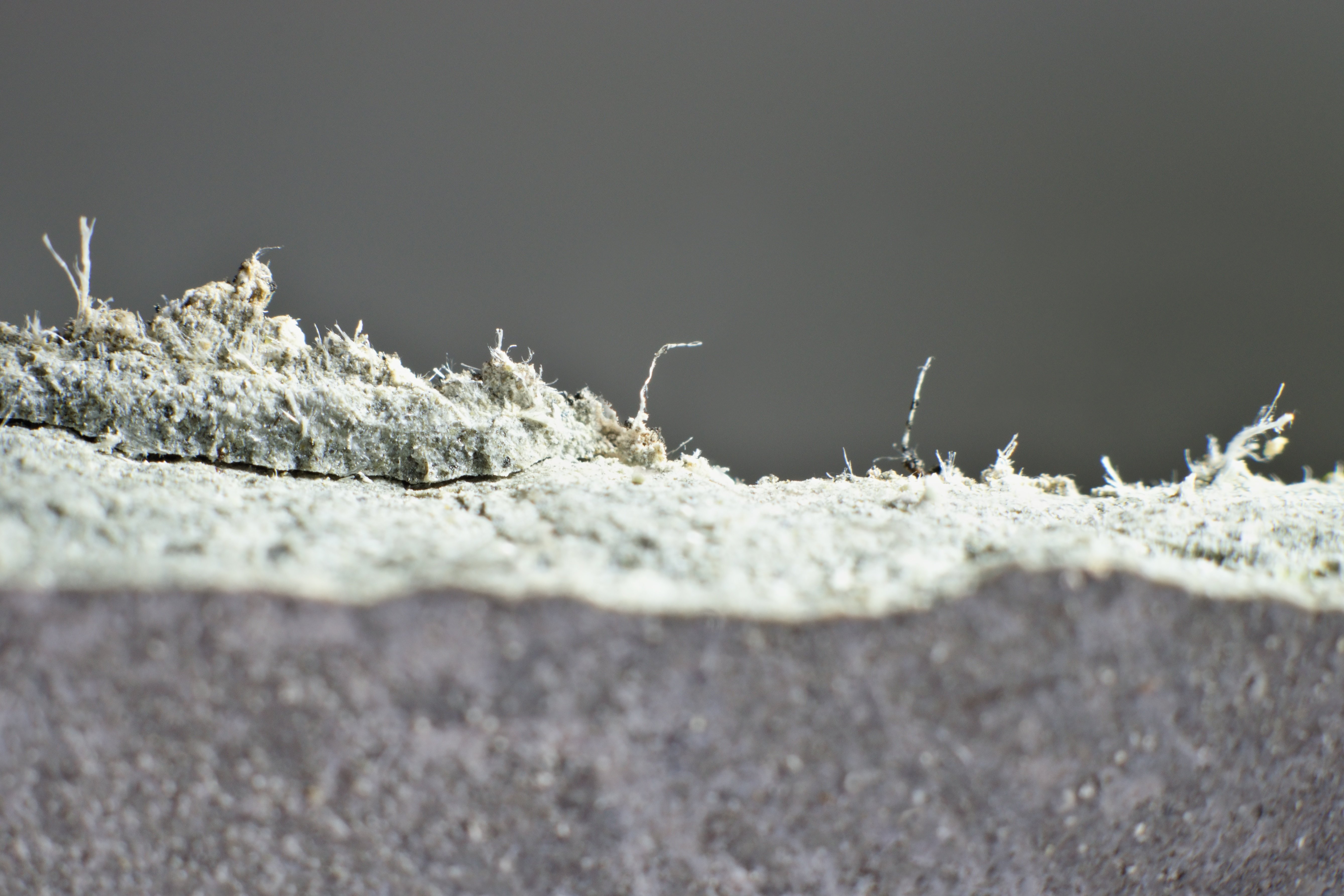 Detailaufnahme von Asbestfasern