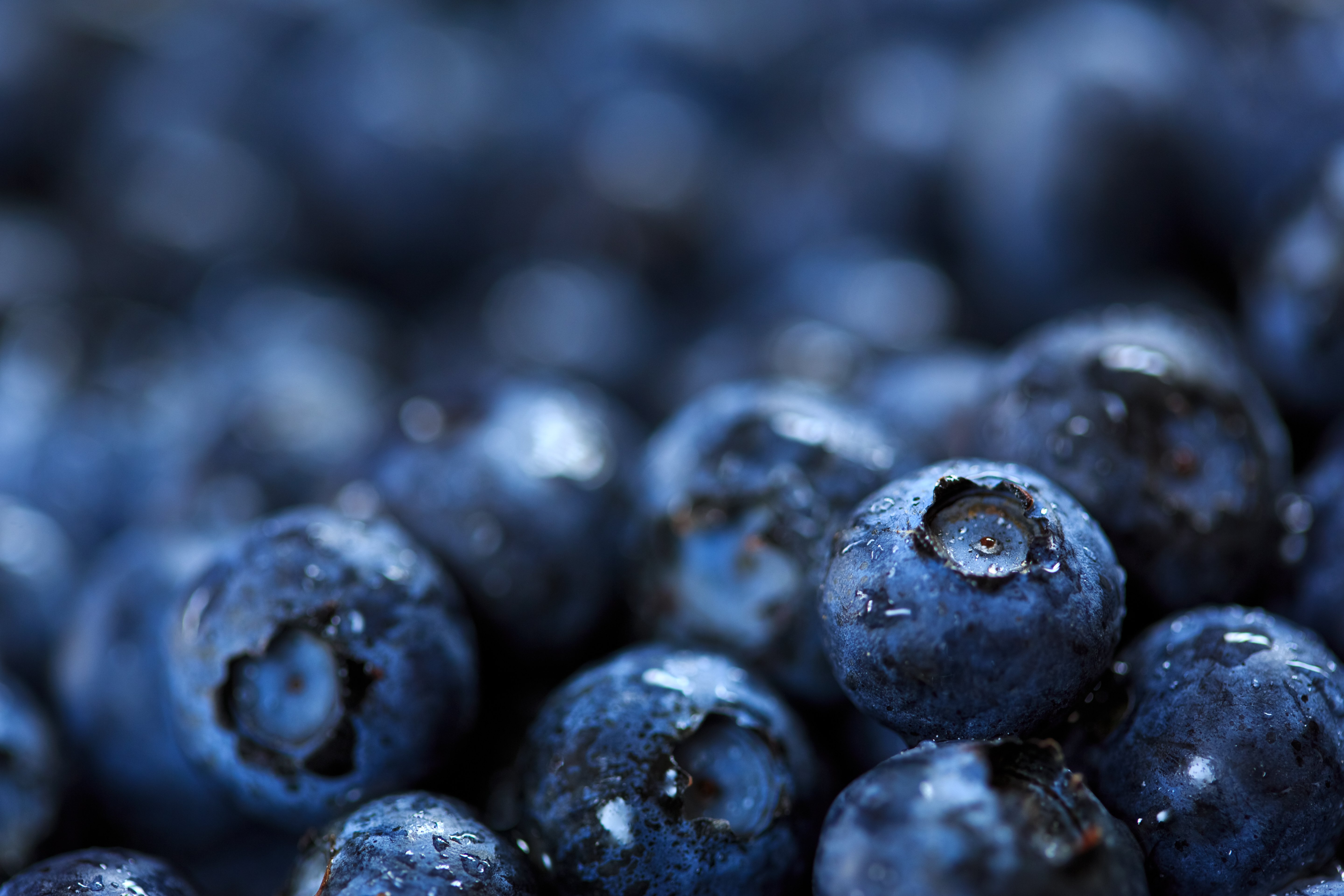 Blaubeeren-Detailaufnahme
