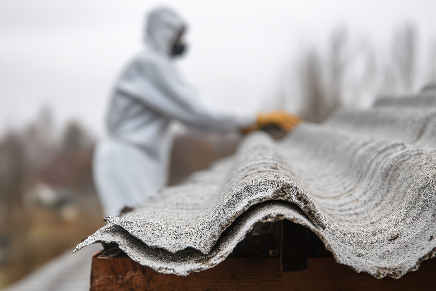 Asbestos Roof Removal in Progress Person wearing protective suit and gloves handling corrugated asbestos roofing sheets outdoors.