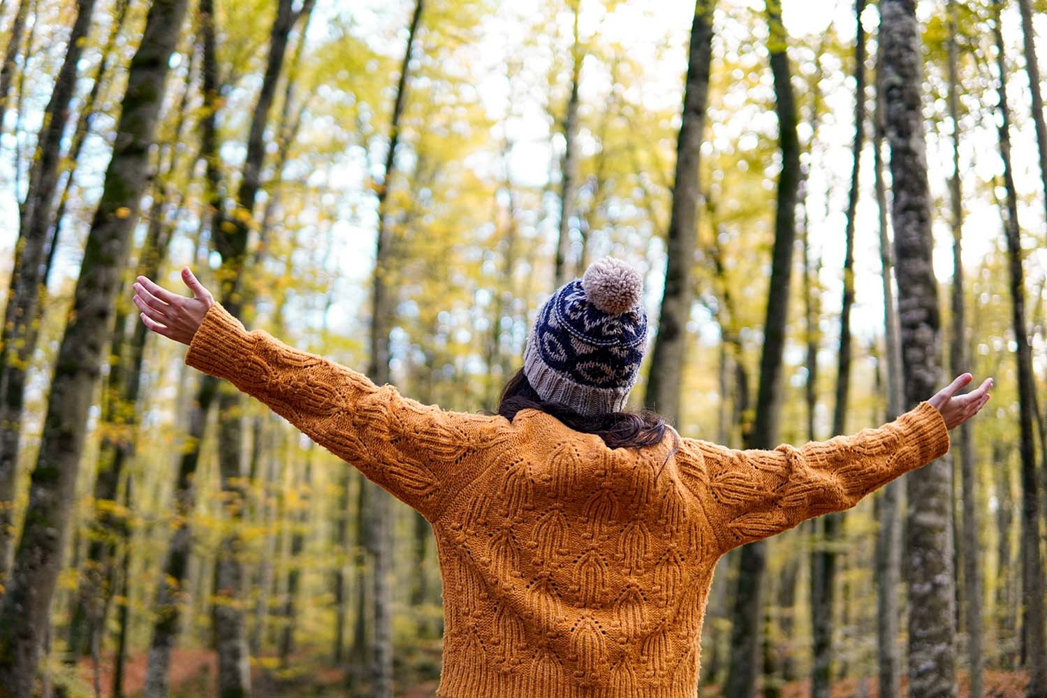 Person Enjoying Nature in Autumn Forest A person wearing an orange knitted sweater and a patterned winter hat stands with arms outstretched in a forest of tall trees with yellow autumn leaves.