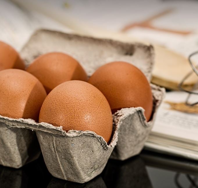 egg