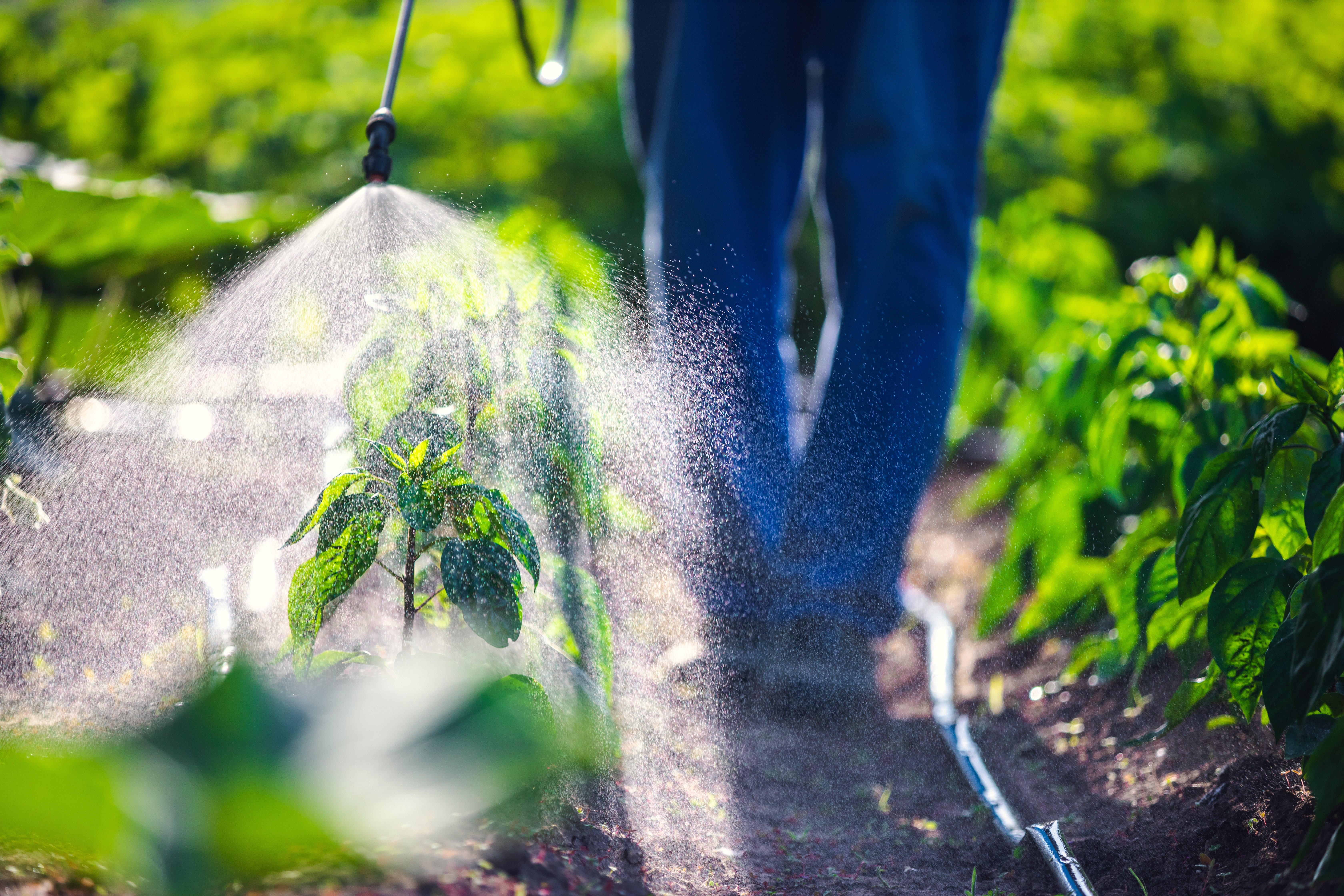 Analyse des produits phytosanitaires