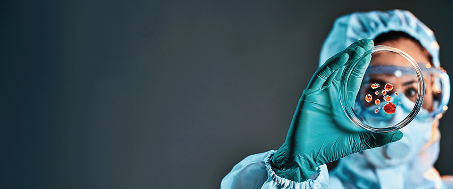 One Health and AMR article