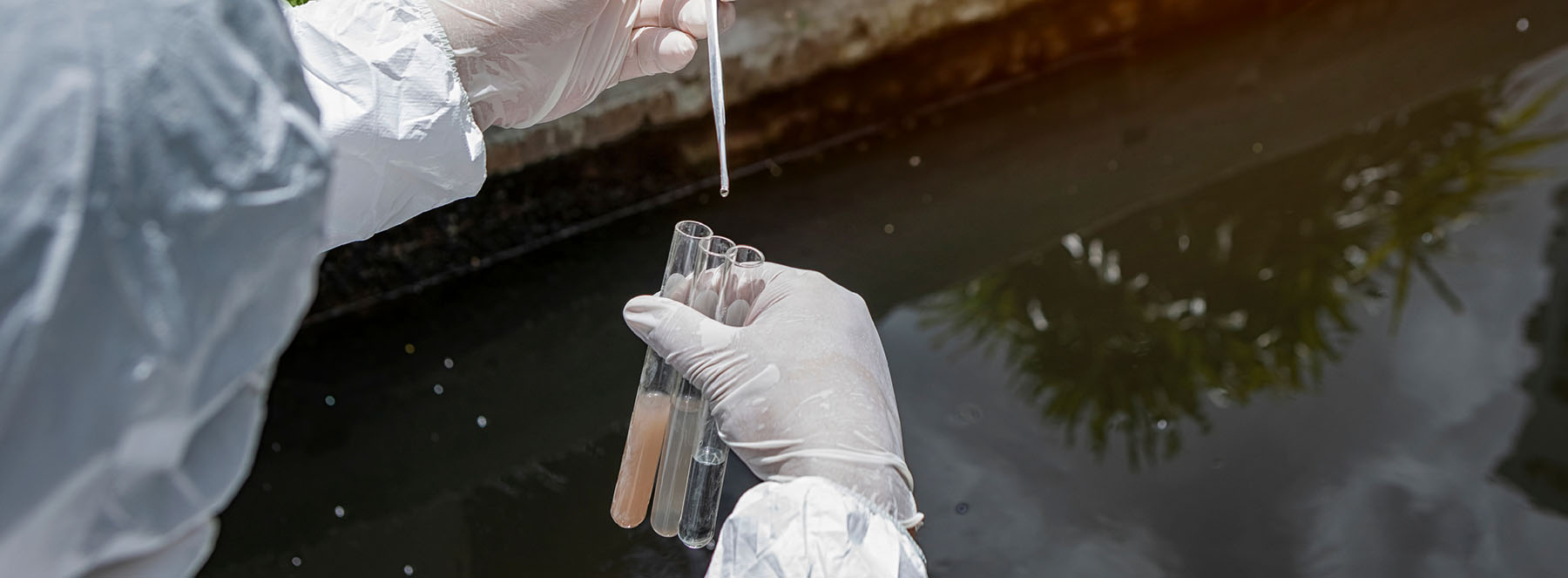 AMR in wastewater article