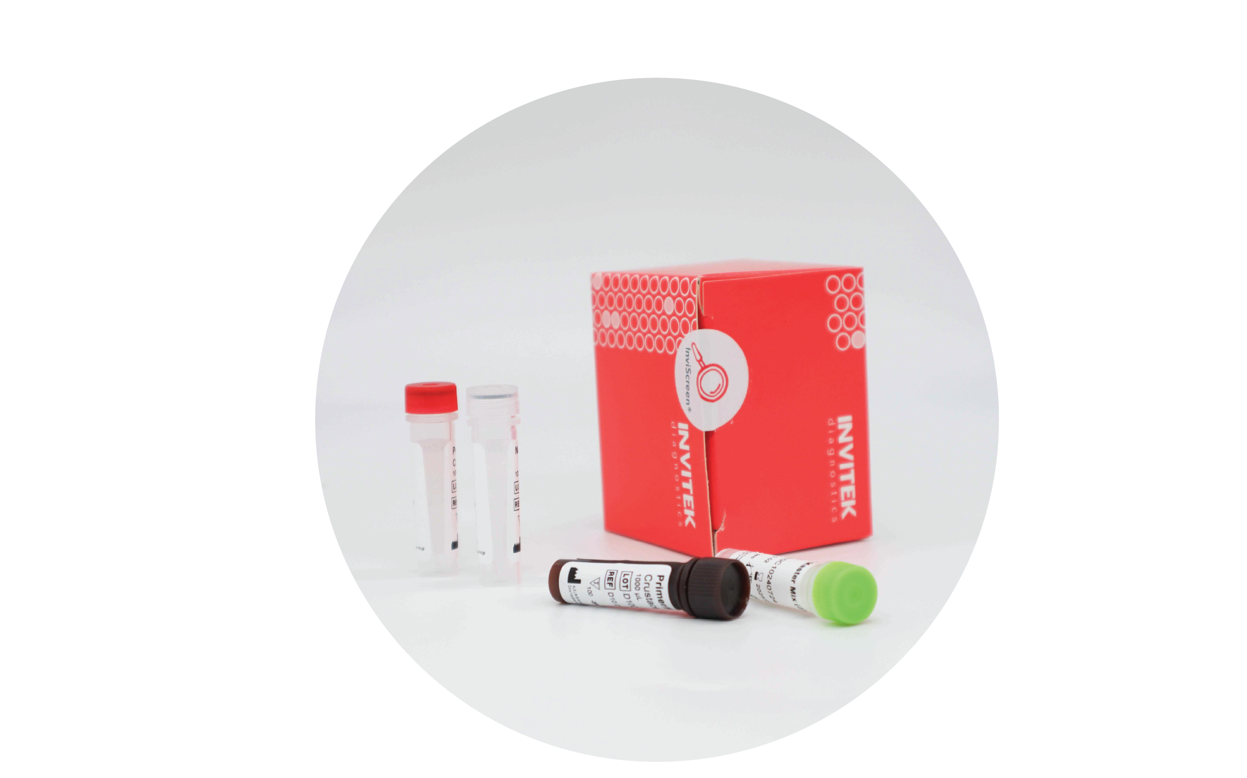 InviScreen BVDV detection kit: red INVITEK box stands behind two upright clear vials (red and grey caps), with brown- and green-capped reagent vials lying in front on a white surface.
