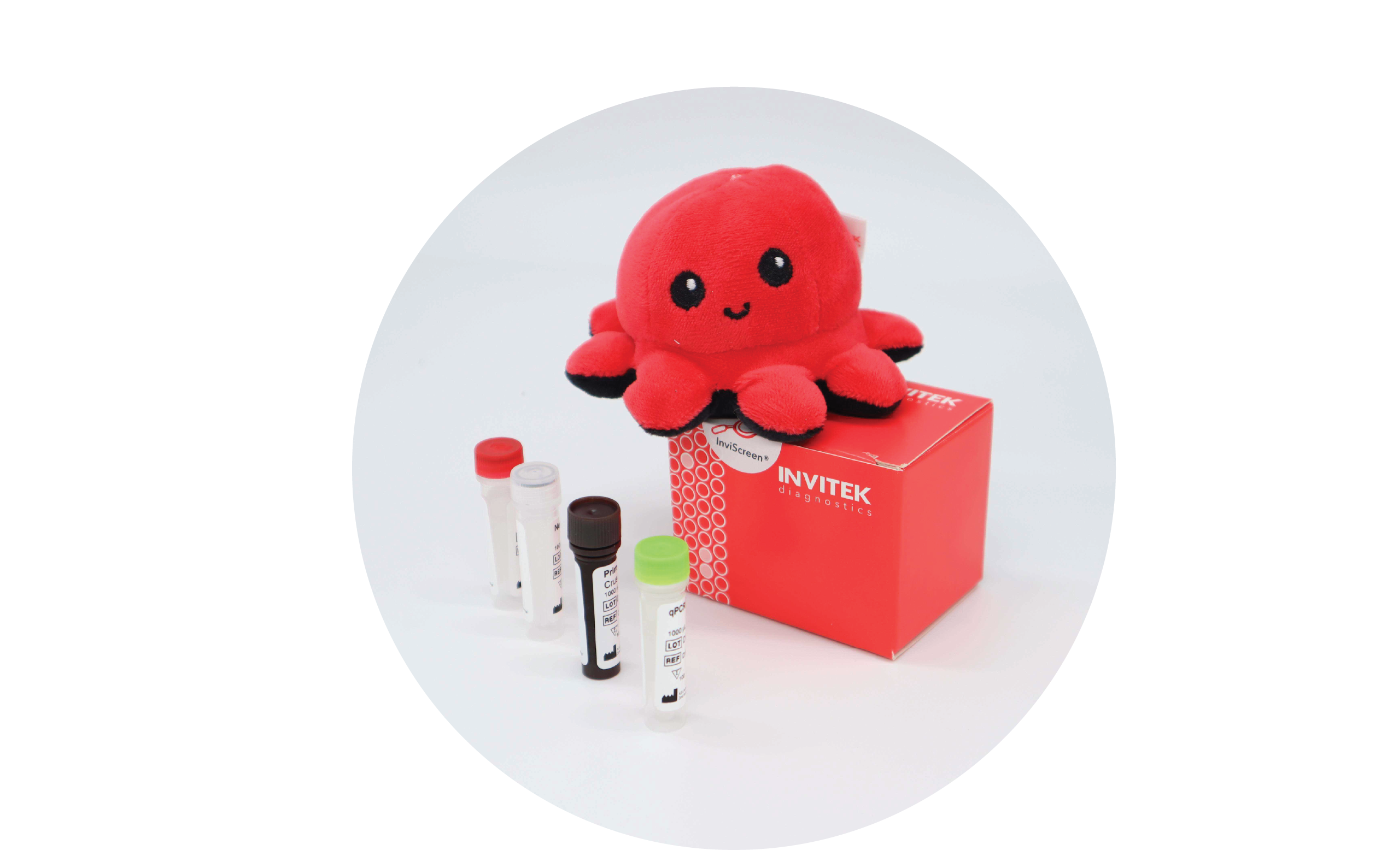 InviScreen IBV kit: plush red octopus “Invi” perched on a red INVITEK box; four reagent vials (red, grey, brown, green caps) stand in front on a white surface.
