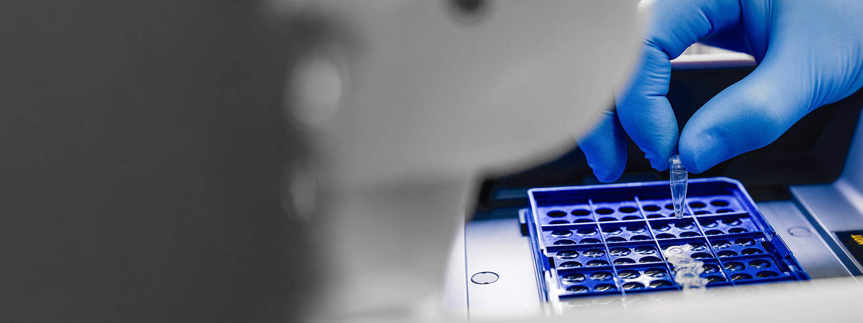 RTP technology