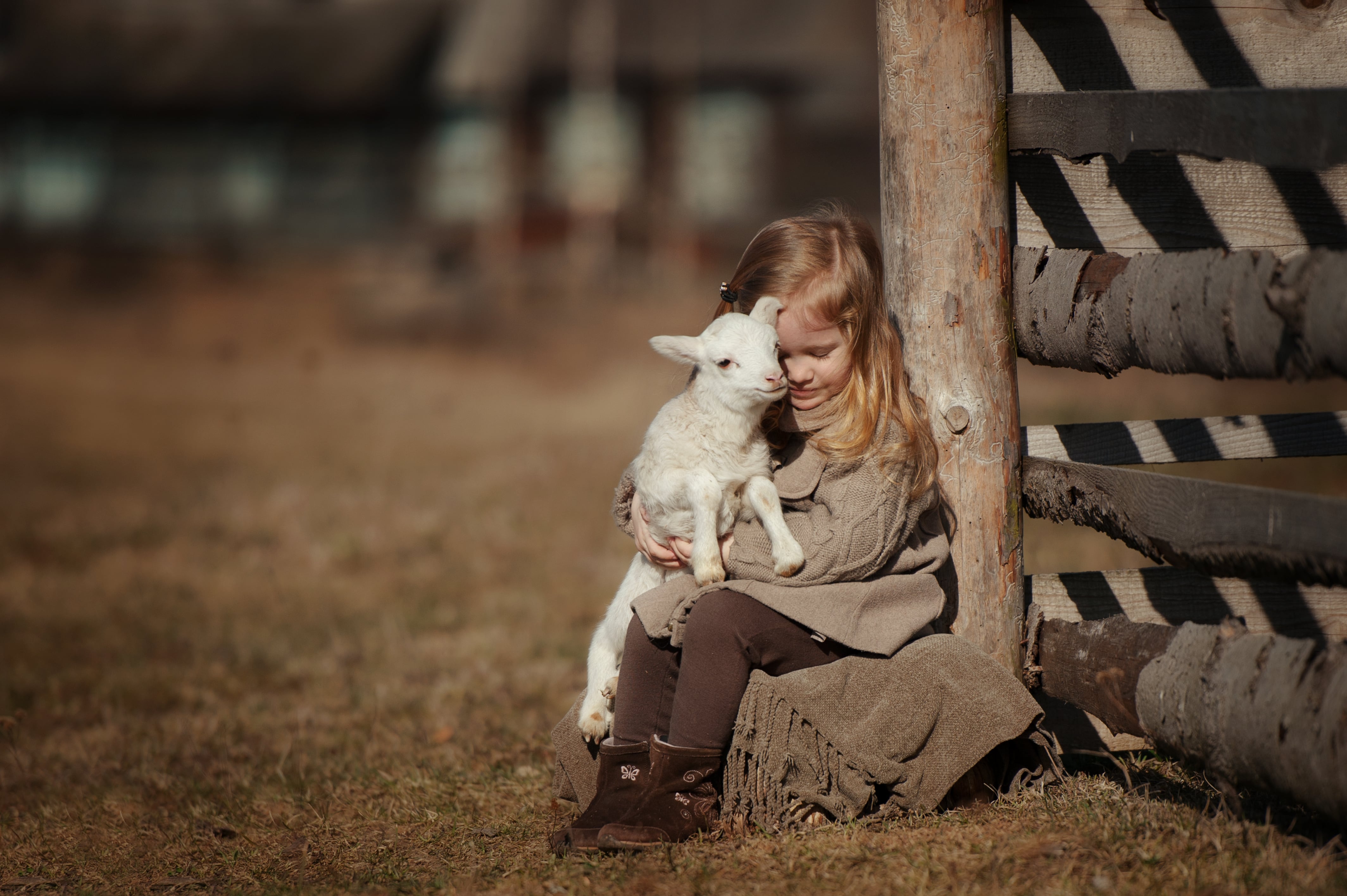 Child sitting on the ground near a wooden fence, gently holding a small white lamb in an outdoor rural setting.