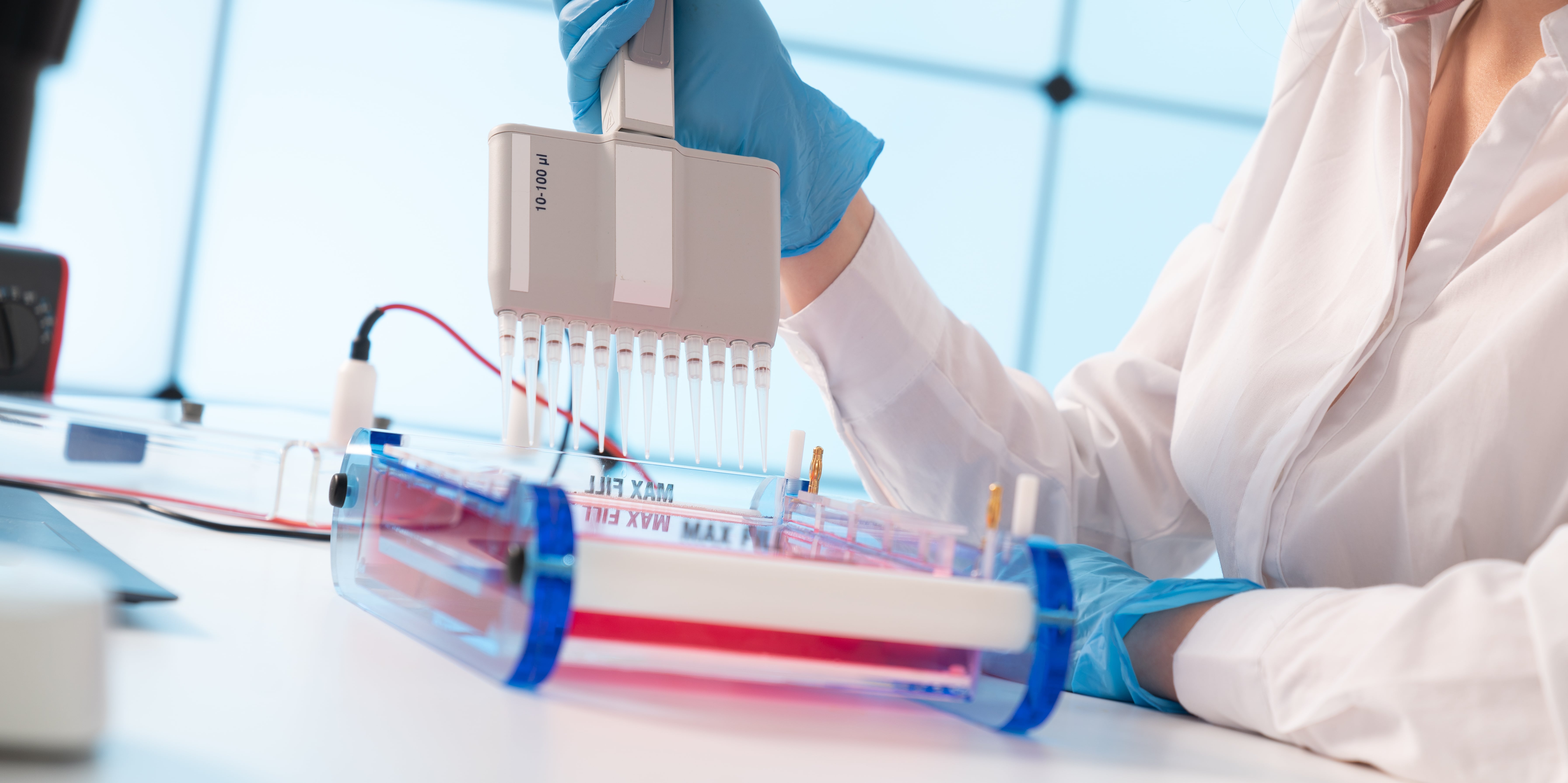 Laboratory technician wearing blue gloves using a multichannel pipette to transfer liquid samples into a gel electrophoresis chamber on a white workbench.