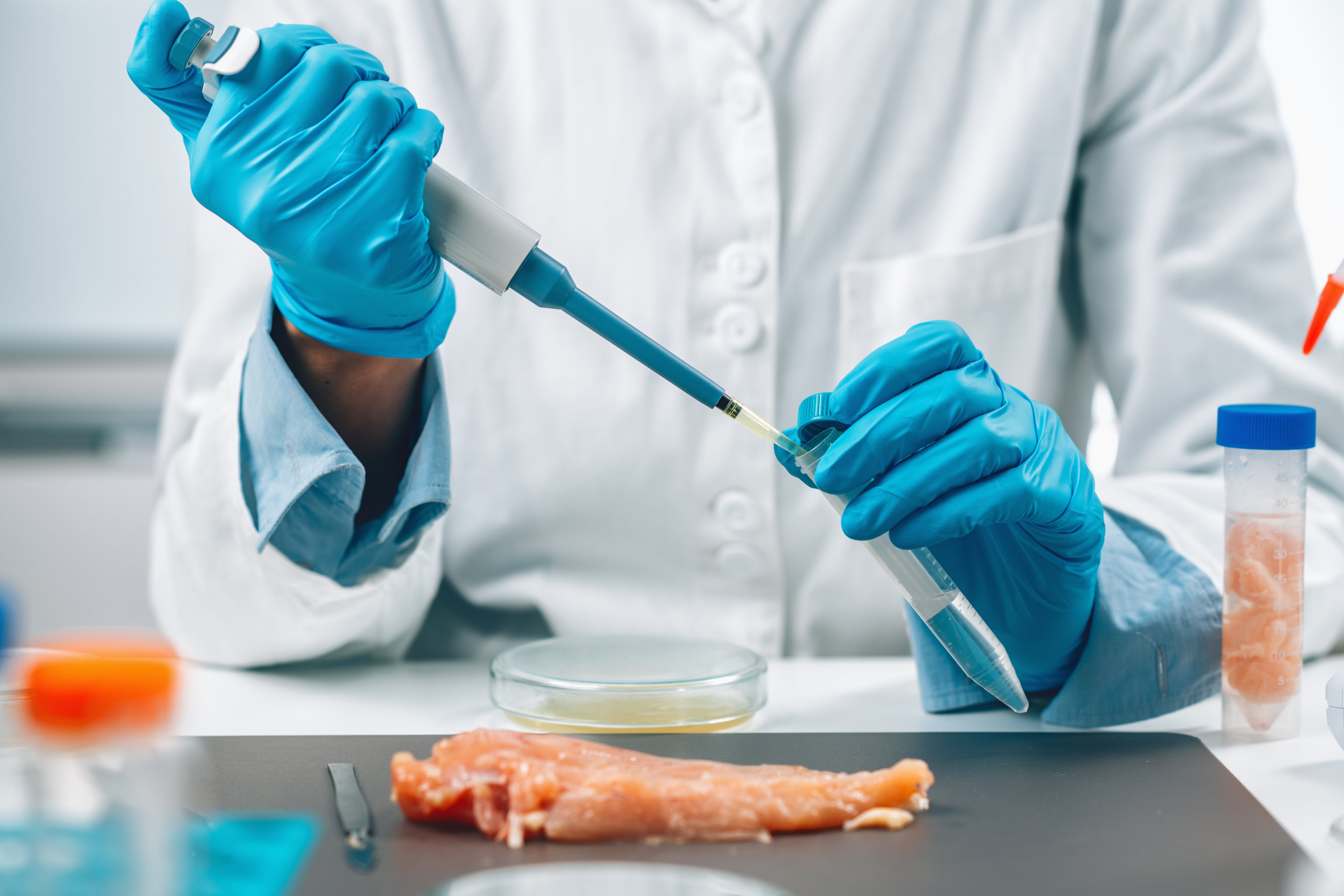 Investigador con guantes azules utilizando una pipeta para transferir líquido a un tubo de ensayo, con una muestra de carne cruda sobre la mesa en un entorno de laboratorio.