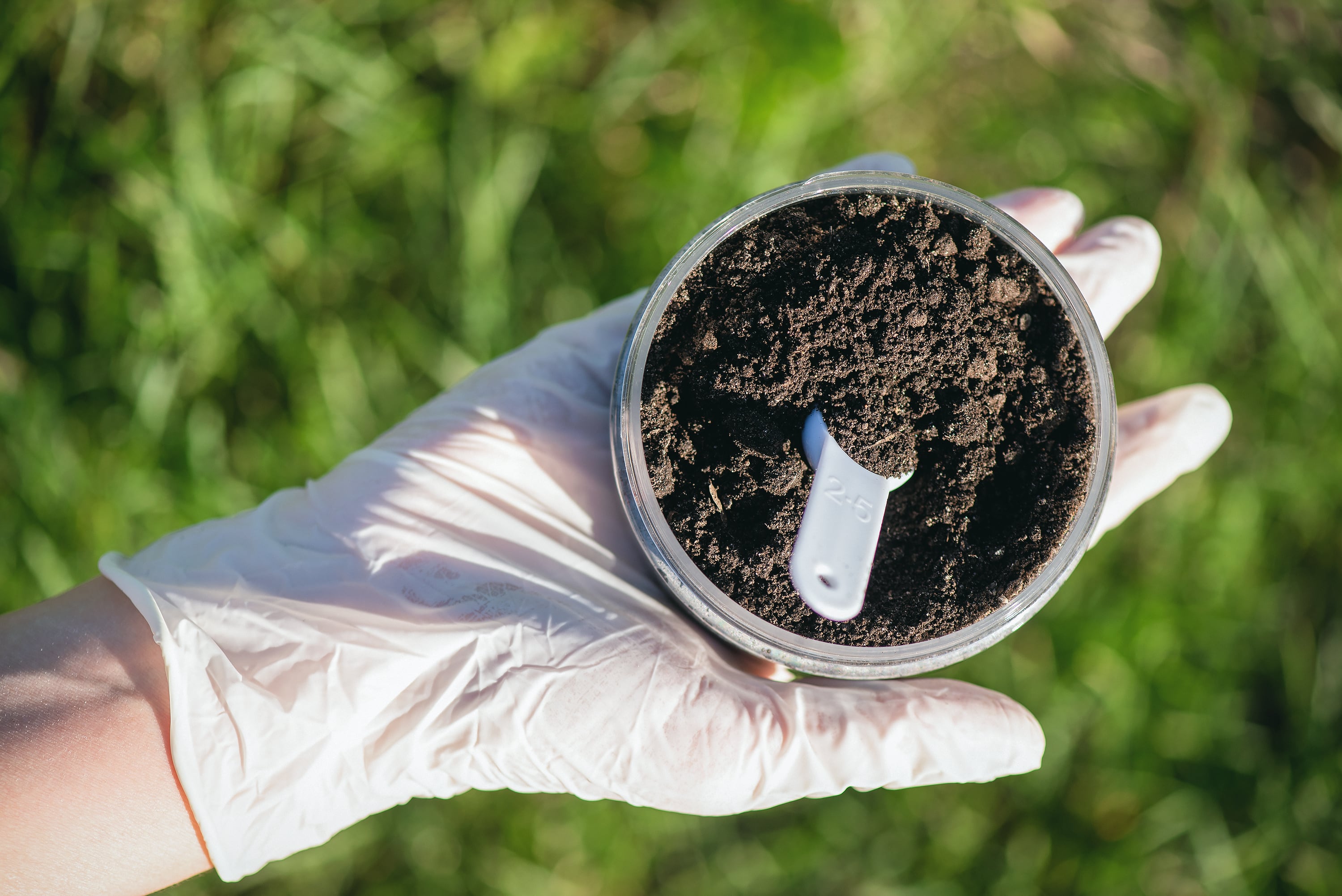 soil sample