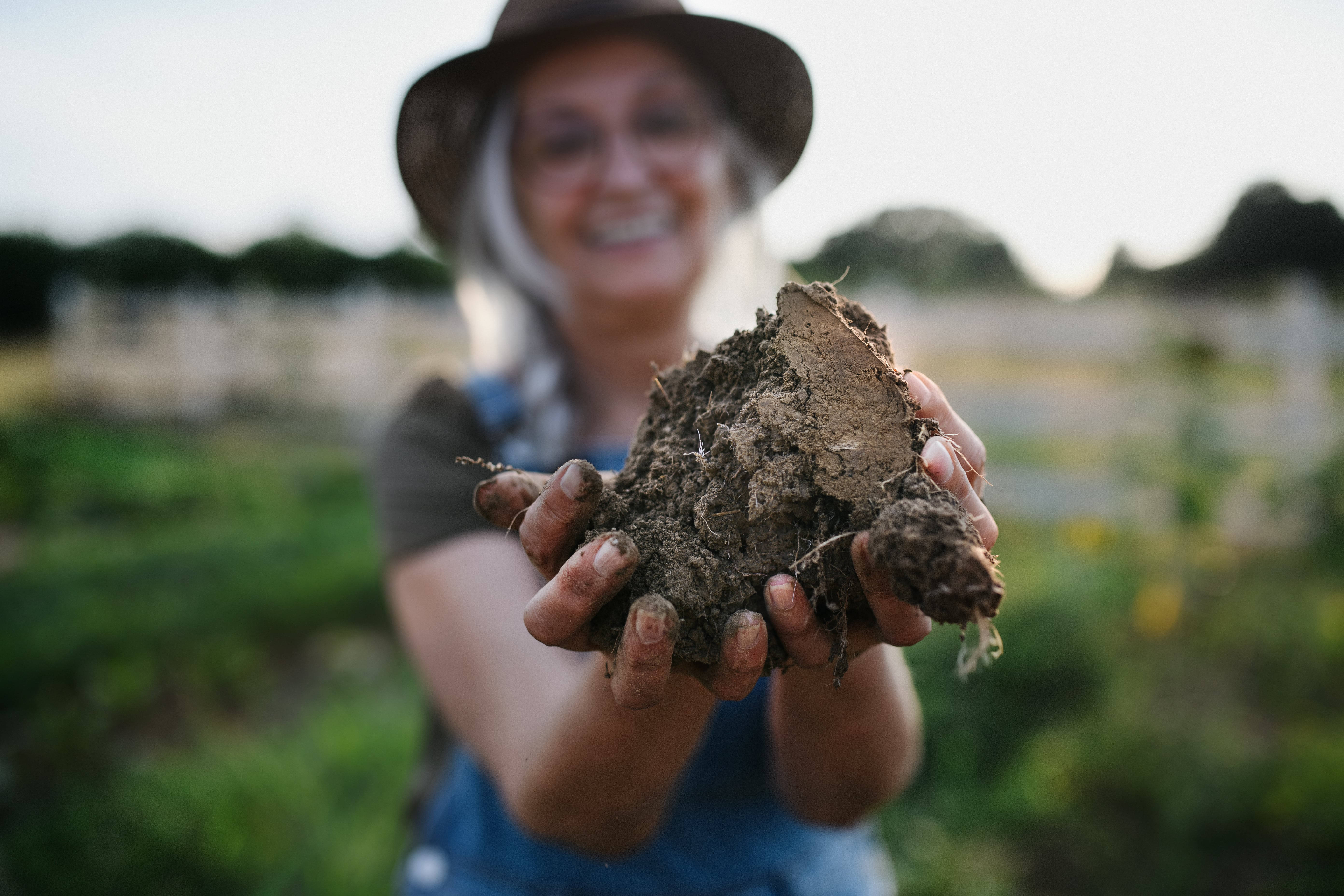 Person holding a large clump of soil with roots in an outdoor garden setting, with greenery and a wooden fence in the background.