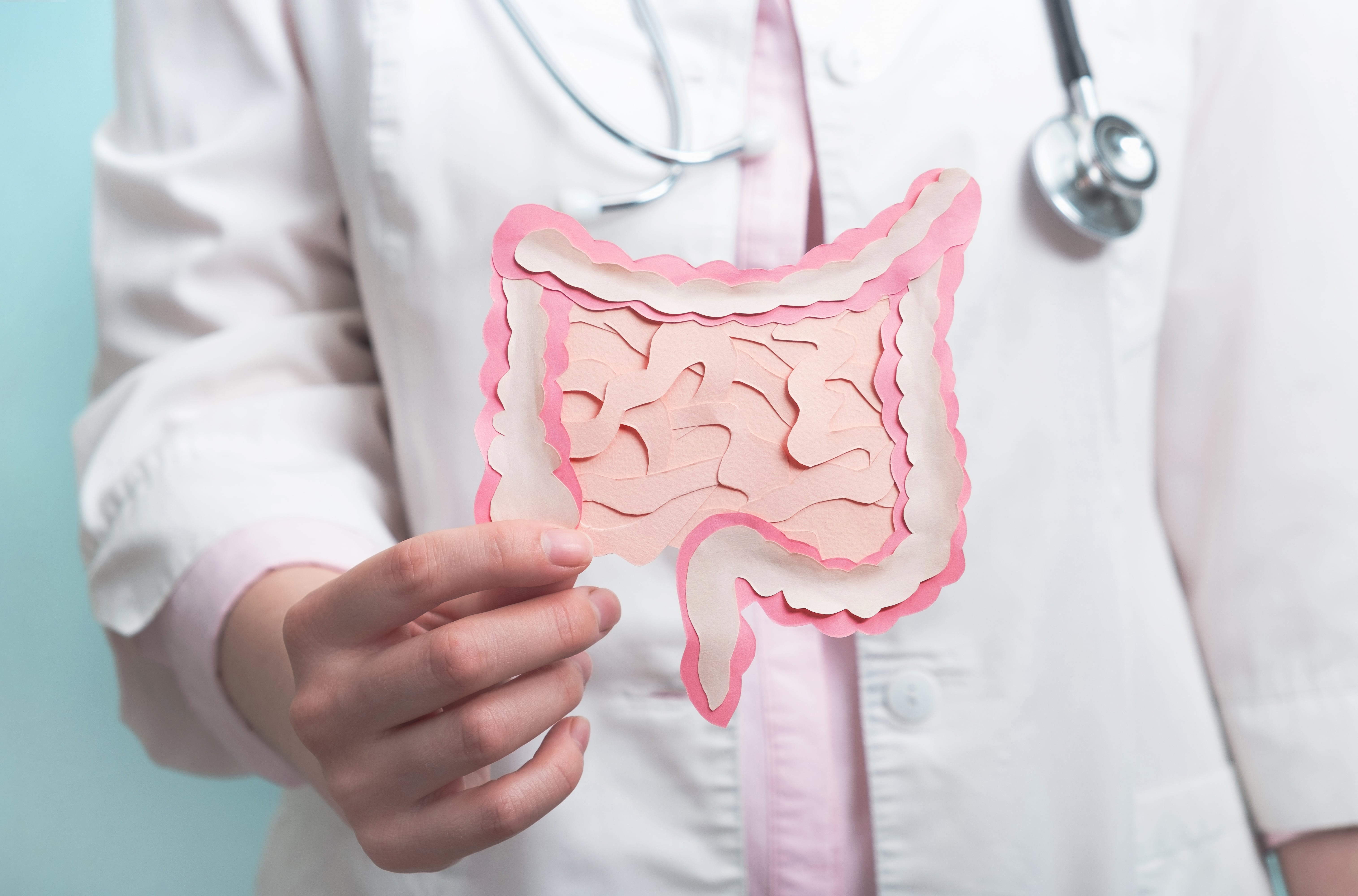 Person wearing a medical coat holding an illustration of the human intestine, representing digestive health and anatomy.